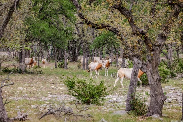 TBD Sattler Rd, Spring Branch, TX 78070