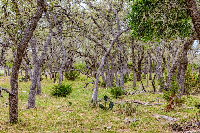 TBD Sattler Rd, Spring Branch, TX 78070