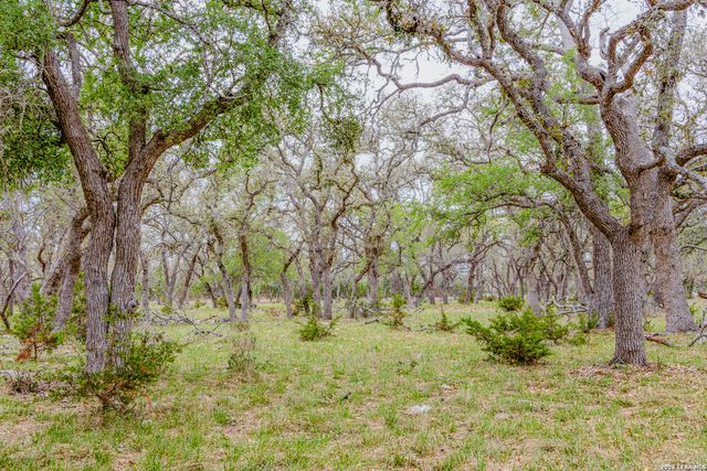 TBD Sattler Rd, Spring Branch, TX 78070