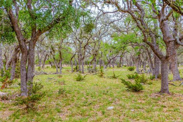 TBD Sattler Rd, Spring Branch, TX 78070