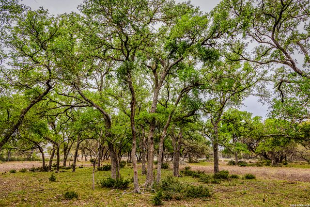 TBD Sattler Rd, Spring Branch, TX 78070