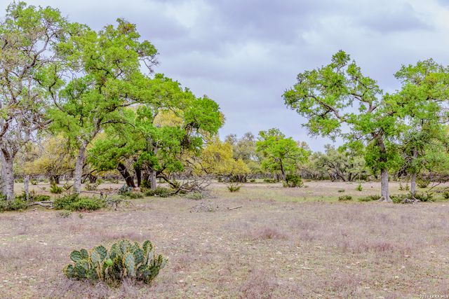 TBD Sattler Rd, Spring Branch, TX 78070