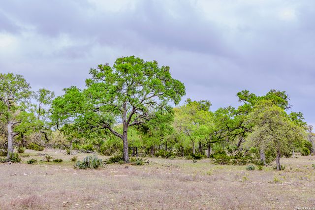 TBD Sattler Rd, Spring Branch, TX 78070