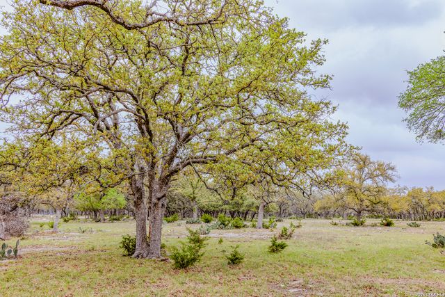 TBD Sattler Rd, Spring Branch, TX 78070