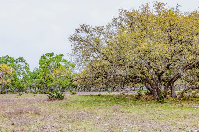 TBD Sattler Rd, Spring Branch, TX 78070
