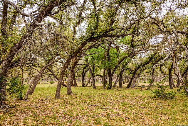TBD Sattler Rd, Spring Branch, TX 78070