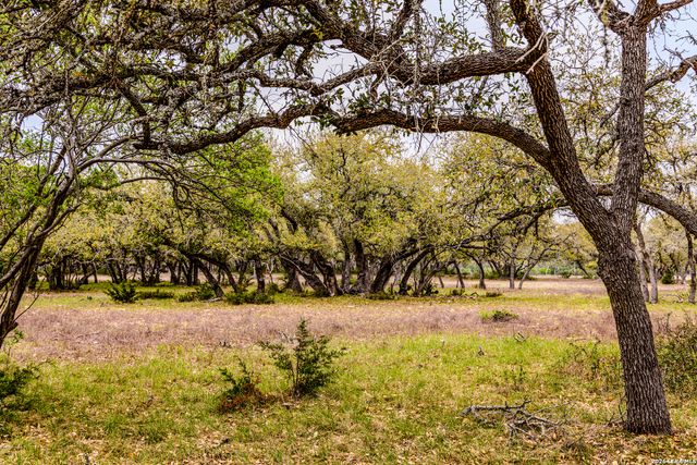 TBD Sattler Rd, Spring Branch, TX 78070