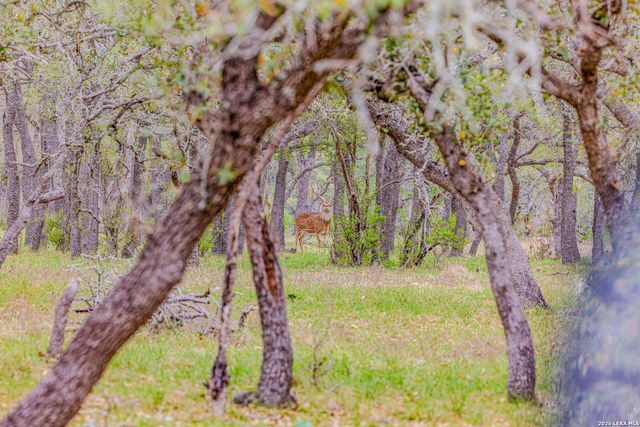 TBD Sattler Rd, Spring Branch, TX 78070