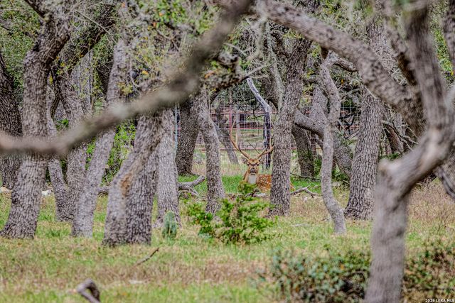 TBD Sattler Rd, Spring Branch, TX 78070