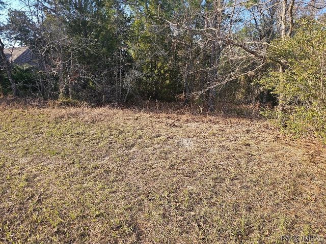 34 Torenia Verbenas Court, Homosassa, FL 34446