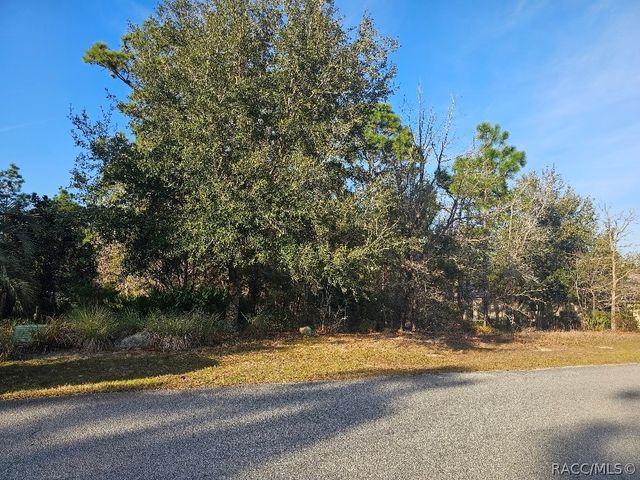 34 Torenia Verbenas Court, Homosassa, FL 34446