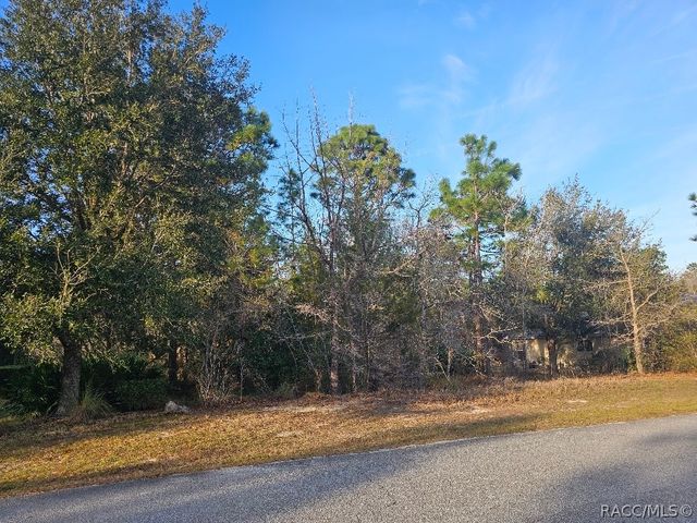 34 Torenia Verbenas Court, Homosassa, FL 34446