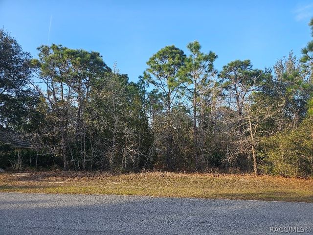 34 Torenia Verbenas Court, Homosassa, FL 34446