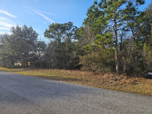 34 Torenia Verbenas Court, Homosassa, FL 34446