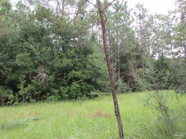 Chumuckla Hwy, Pace, FL 32571