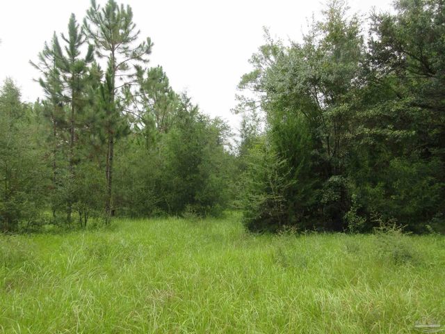 Chumuckla Hwy, Pace, FL 32571