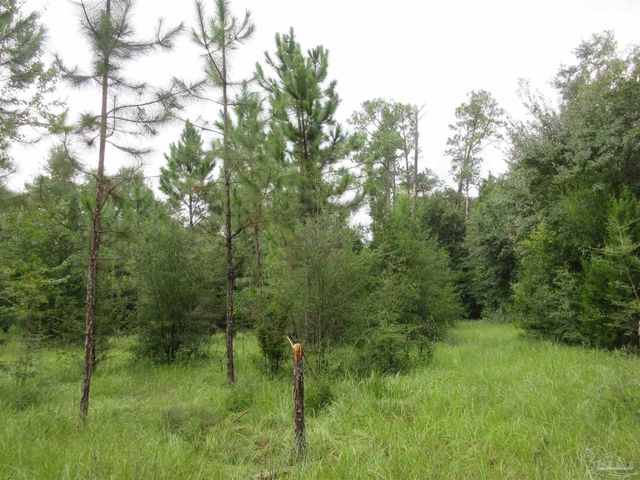 Chumuckla Hwy, Pace, FL 32571