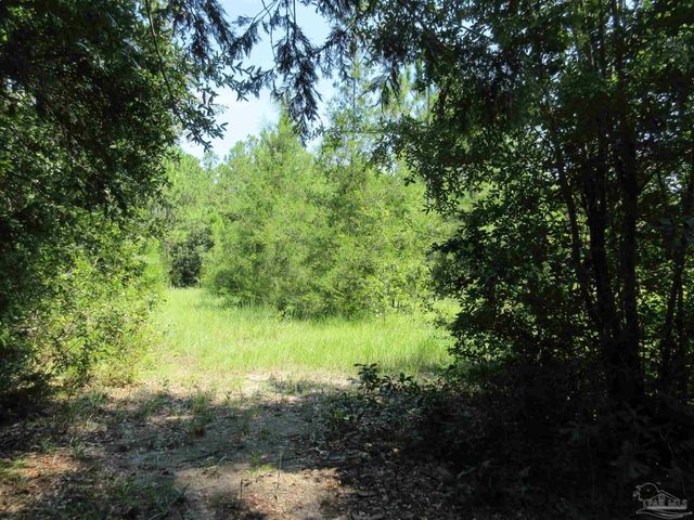 Chumuckla Hwy, Pace, FL 32571
