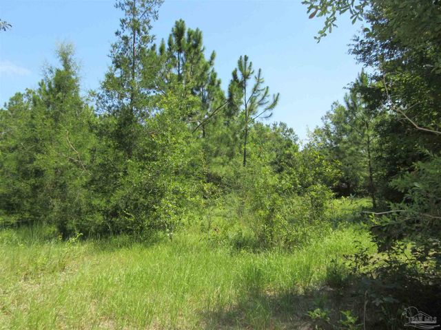 Chumuckla Hwy, Pace, FL 32571