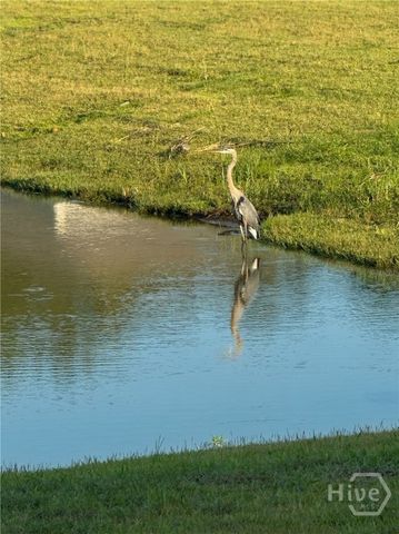 42 Hardy Branch, Richmond Hill, GA 31324