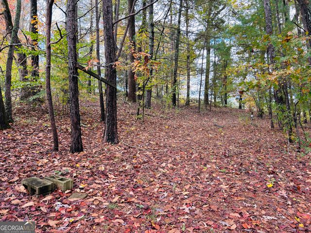 3077 Alec Mountain Road, Clarkesville, GA 30523