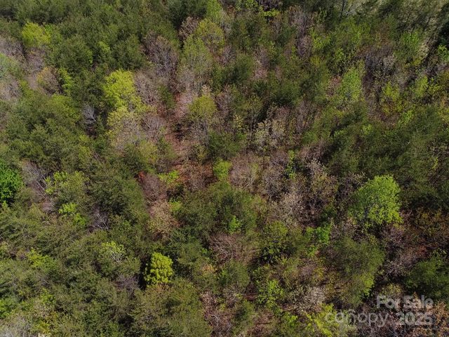 0 Snowhill Church Road, Morganton, NC 28655