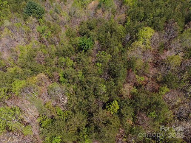 0 Snowhill Church Road, Morganton, NC 28655