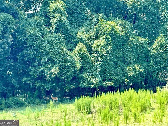 7 Red Rose Court, Nicholson, GA 30565