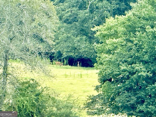 7 Red Rose Court, Nicholson, GA 30565