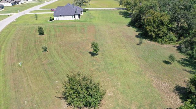 10239 Henley Cove, Iola, TX 77861