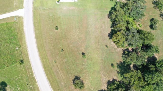 10239 Henley Cove, Iola, TX 77861