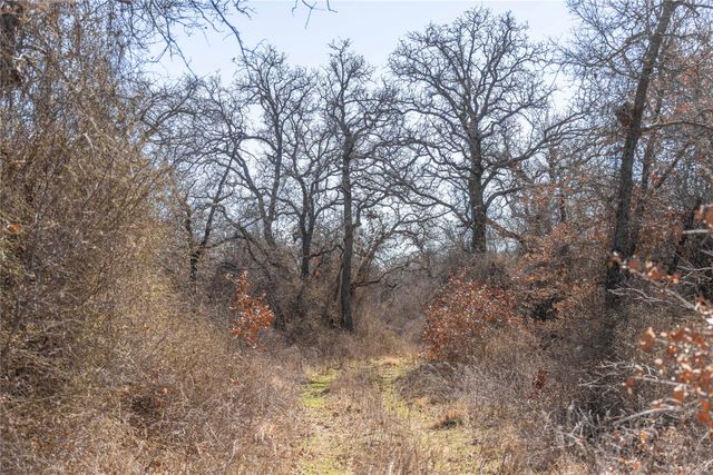 15217 Highway 6, Carbon, TX 76435