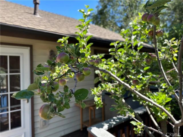 489 Dorn, Crestline, CA 92325