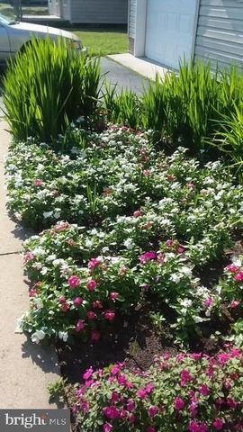 34698 RAILROAD AVE, Pittsville, MD 21850