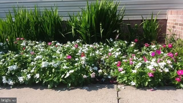 34698 RAILROAD AVE, Pittsville, MD 21850