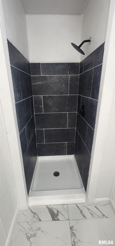 926 Governor Street, Springfield, IL 62704