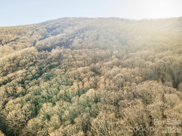 00 Wildflower Cove Road 18, Swannanoa, NC 28778