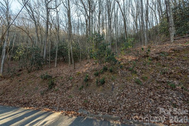 00 Wildflower Cove Road 18, Swannanoa, NC 28778