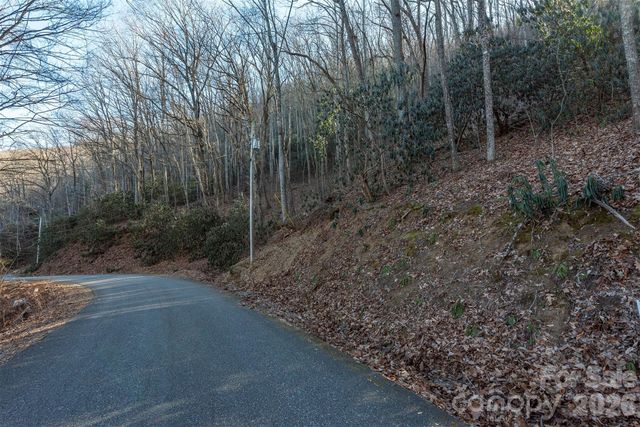 00 Wildflower Cove Road 18, Swannanoa, NC 28778