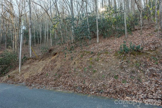 00 Wildflower Cove Road 18, Swannanoa, NC 28778