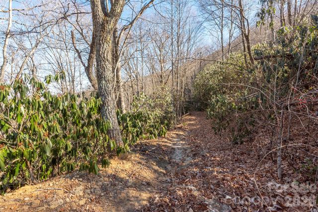 00 Wildflower Cove Road 18, Swannanoa, NC 28778