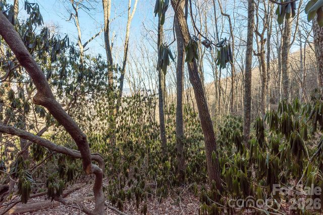 00 Wildflower Cove Road 18, Swannanoa, NC 28778