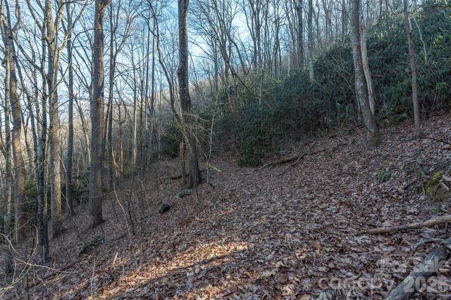 00 Wildflower Cove Road 18, Swannanoa, NC 28778