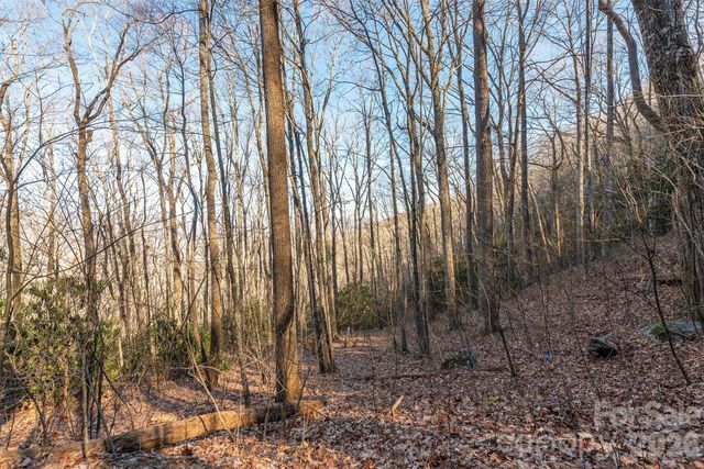 00 Wildflower Cove Road 18, Swannanoa, NC 28778