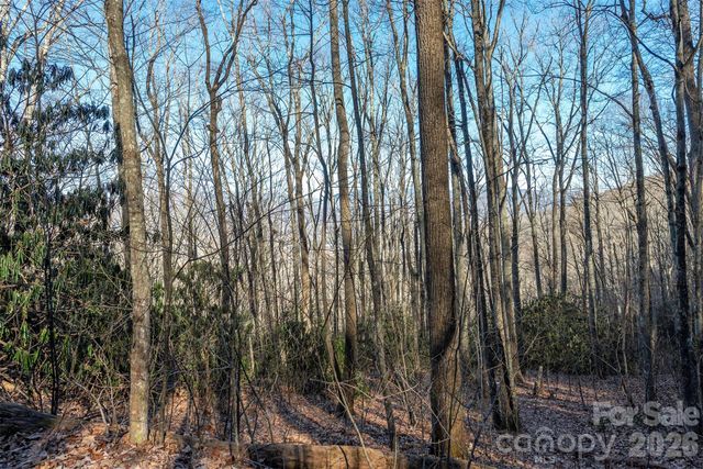 00 Wildflower Cove Road 18, Swannanoa, NC 28778