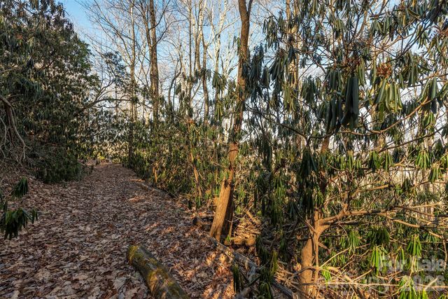 00 Wildflower Cove Road 18, Swannanoa, NC 28778