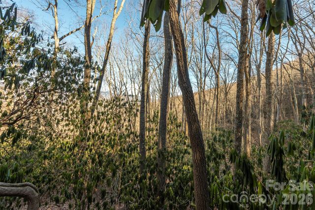 00 Wildflower Cove Road 18, Swannanoa, NC 28778