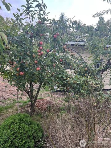 27411 X Lane, Ocean Park, WA 98640