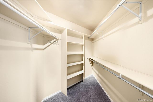 8305 Moore Street, Arvada, CO 80005