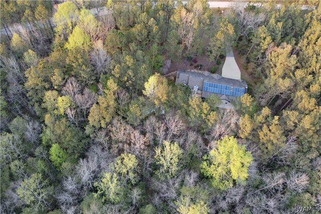 12318 Hidden Falls, Northport, AL 35475